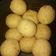 Cooksnap dari Riekha Setiawan untuk resep Tahu Bulat Pong