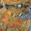 صورة من سوزان شوقي 💖💟، شاركها بعد تجربة وصفة كنافه رووعه 😍😋👌