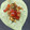 Beena Radia's cooksnap of when they made મીઠો પાન મુખવાસ (Sweet Paan Mukhwas Recipe In Gujarati).