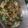 Cooksnap dari NITA DWI Vijayanti untuk resep Bobor Kangkung Pedas