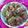 Aanal Avashiya Chhaya's cooksnap of when they made ઊંધિયું (Undhiyu recipe in Gujarati).