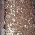 El cooksnap de Delfii Torres cuando hizo Tiramisú fácil y económico.