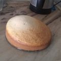 El cooksnap de Naty Noel cuando hizo Bizcochuelo de dos opciones marmolado o (sin huevo y con huevo).
