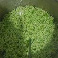 Cooksnap dari zahirotul kamiliyah untuk resep Agar agar lumut santan kara