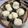 Cooksnap dari Auliya Shoffi | Dapur Arsho untuk resep Kue mangkok mekar tepung beras