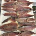 El cooksnap de Pololoxyz@yahoo.com cuando hizo Moruna de sardinas.