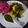 Sushma Manoj Kumar's cooksnap of when they made Instant Dhokla.