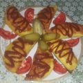 کوک اسنپ مهدی بعد از امتحان کردن سمبوسه خانگی.