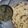 Pinki3's cooksnap of when they made Saag,makka ki roti.