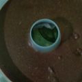 Cooksnap dari Irna Carnawianty untuk resep Puding roti nutrijell coklat