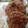 El cooksnap de Maria Florencia Alvarez cuando hizo Galletitas de avena y coco, la sencillez hecha galleta ♥.