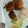 Enefola Joy Owoicho's cooksnap of when they made Jollof Rice.