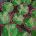 Cooksnap dari Dapur Eka untuk resep Bolu Kukus Mekar Lembut