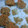 El cooksnap de Tracyhola muGarcia cuando hizo Galletitas de zanahorias y avena.