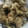 Cooksnap dari firdausinuzula untuk resep Semur Ayam