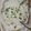 Dolly Tolani का कुकस्नैप जब उन्होंने सलाद मिक्स दही रायता (Salad mix dahi raita recipe in hindi) बनाया था।