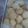 Cooksnap dari Tengku Zahlia untuk resep Crunchy oatmeal cookies
