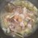 Cooksnap dari Nia Dzakwaan Azzikra untuk resep Garang Asam Ayam