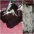 Cooksnap dari Rosi Liandari untuk resep Brownis kukus rasa amanda