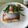 Junquo M Hill's cooksnap of when they made Salmon & Pesto-Dressed Vegetables.