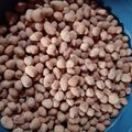 Cooksnap dari Ika Niya untuk resep Kacang telur gurih renyah