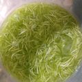 Cooksnap dari Linda Rambu Kuba Yowi untuk resep Es kuwut segar rasa manis melon mix asemnya si jeruk nipis