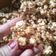 Cooksnap dari Eka Yulianti untuk resep Caramel Popcorn