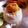 Puja Adhikary (Mistu)'s cooksnap of when they made ডিম ভাপা (dim bhapa recipe in Bengali).