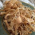 Cooksnap dari Cempaka Widani Lestari untuk resep Sarang Laba Laba Anti Gagal