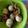 Cooksnap dari N I D I A N G untuk resep Telur puyuh tepung