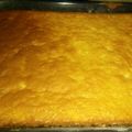 El cooksnap de Magali Diaz. cuando hizo Bizcochuelo Frutal y Húmedo.