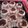 El cooksnap de Patricia Perera cuando hizo Alfajores glaseados con o sin topping.