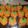 huskerfanfrvr's cooksnap of when they made Pumpkin rice krispies.