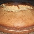El cooksnap de Melisa Ceb cuando hizo Bizcochuelo alto y esponjoso 🤩.