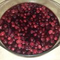 Mel's cooksnap of when they made Jewel Cranberry Salad.