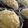 Cooksnap dari TikaPrimasiwi untuk resep Brownis Keju Kukus