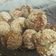 Cooksnap dari Nanik Bosik untuk resep 🌰Onde-Onde Ketawa Simple Renyah Empuk🌰
