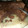 El cooksnap de claudia cuando hizo Brownies fáciles y riquísimos!!.