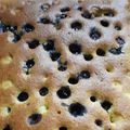 Gyula Ásványi Cooksnap-ja, amikor elkészítette a(z) Kékáfonyás és aszalt vörösáfonyás kevert süti 🫐🫐🫐 receptet.