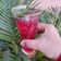 Mukti Bhargava का कुकस्नैप जब उन्होंने रूह अफजा मोजितो (rooh afza mojito recipe in Hindi) बनाया था।