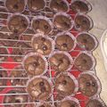 Cooksnap dari annie untuk resep Brownies Mini Kering