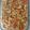 Maryam Shakoor's cooksnap of when they made Chinese chicken noodles.