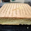 Cooksnap dari Yuyun S untuk resep Base Bolu Potong