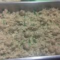 Cooksnap dari joe untuk resep Nasi goreng cabe hijau ala resto