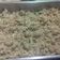 Cooksnap dari joe untuk resep Nasi goreng cabe hijau ala resto