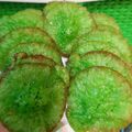 Cooksnap dari Rosaliagni untuk resep Cucur pandan
