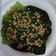 Cooksnap dari Ester Paomey untuk resep Pokcoy Cah Bawang Putih