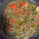 Cooksnap dari Ukhti Ika untuk resep Sambal Pecak