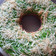 Cooksnap dari Eva prastiwi untuk resep Bolu Pandan