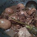 Cooksnap dari Lina Ratnawati untuk resep Brongkos Telur dan Tahu